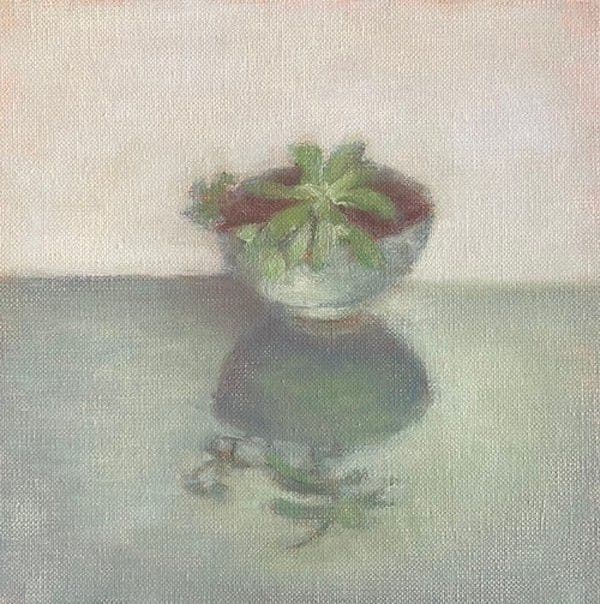 Les succulentes n°1, Huile sur toile, Sophie Michalon